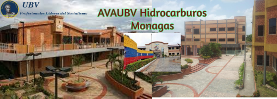 AVAUBV Hidrocarburos Monagas